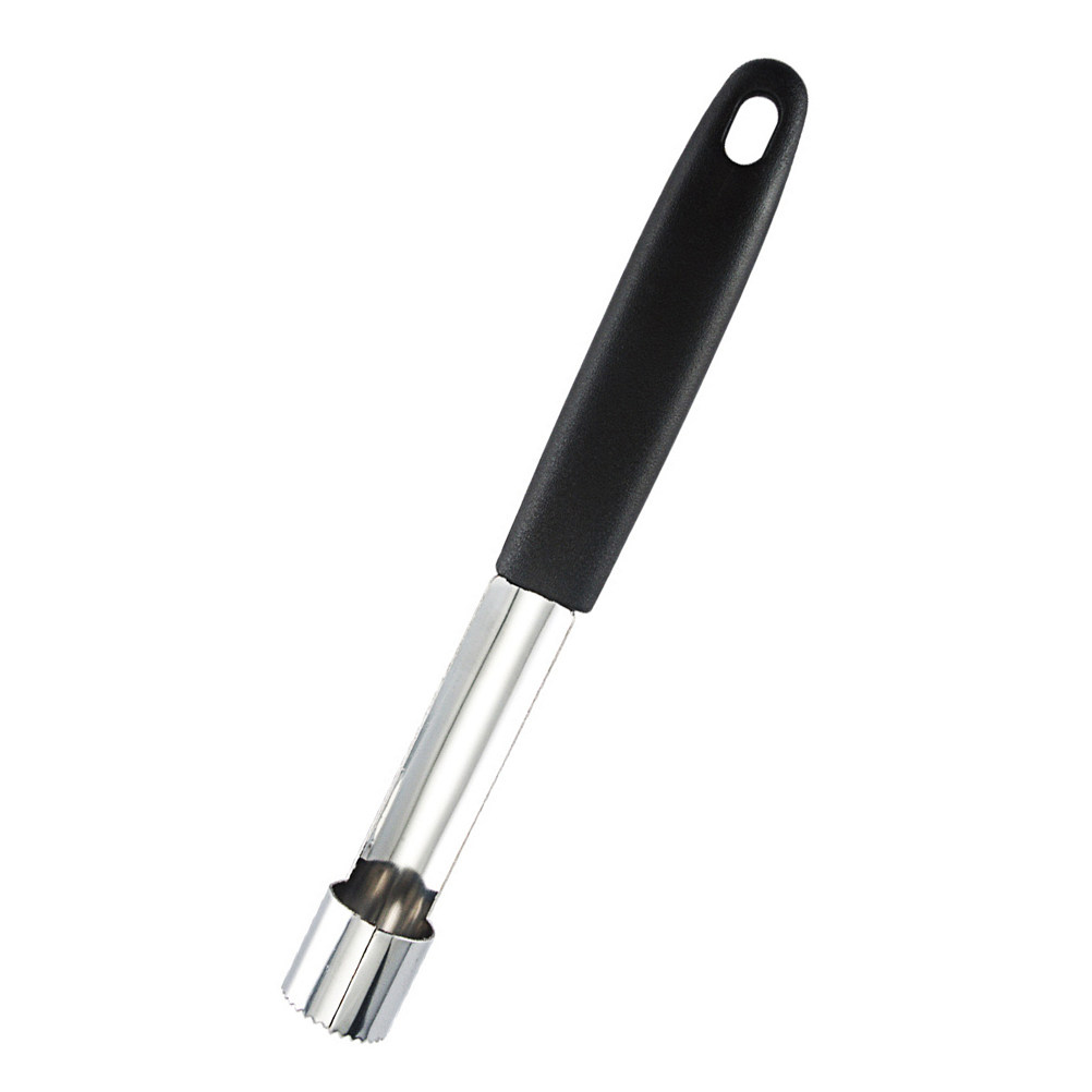 2 Pezzi di Utensili in Acciaio - Cherry Pitter Tool recensione e prezzo